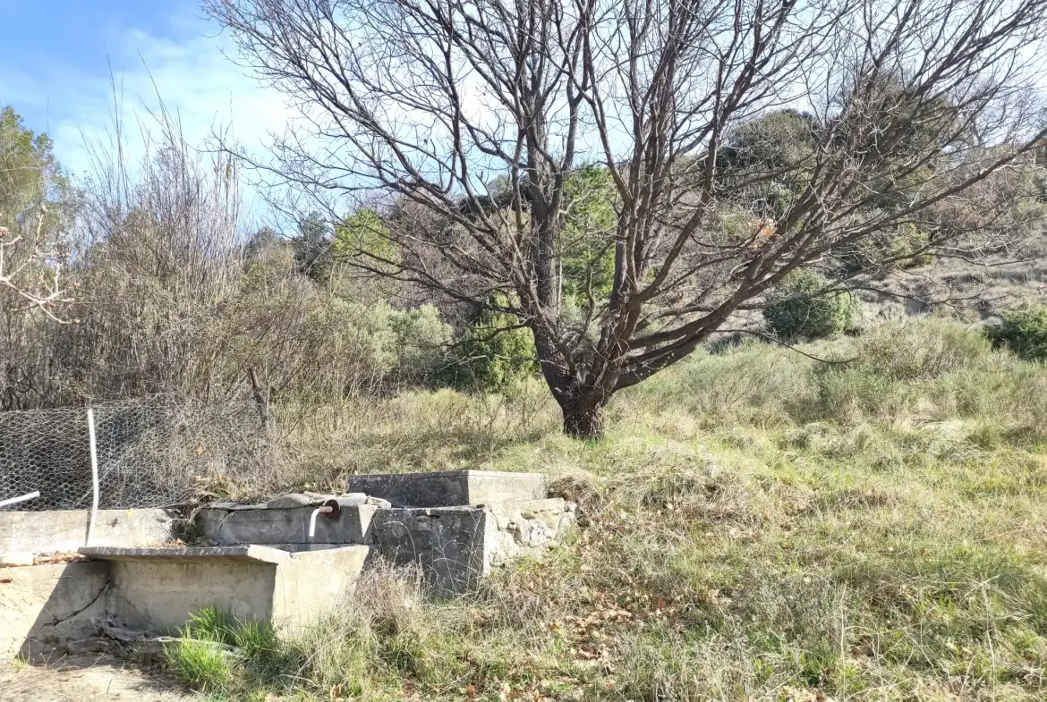Ferme provençale authentique à Volonne de 103 m² avec dépendances et terrain de 5300 m² 