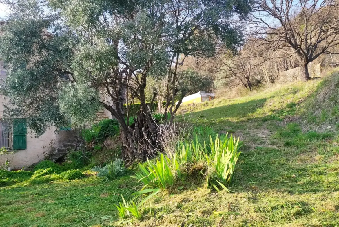Ferme provençale authentique à Volonne de 103 m² avec dépendances et terrain de 5300 m² 