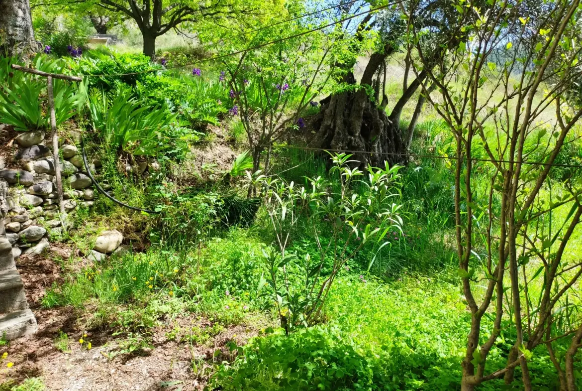 Ferme provençale authentique à Volonne de 103 m² avec dépendances et terrain de 5300 m² 