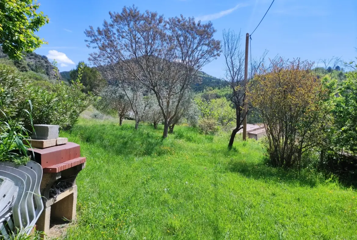 Ferme provençale authentique à Volonne de 103 m² avec dépendances et terrain de 5300 m² 