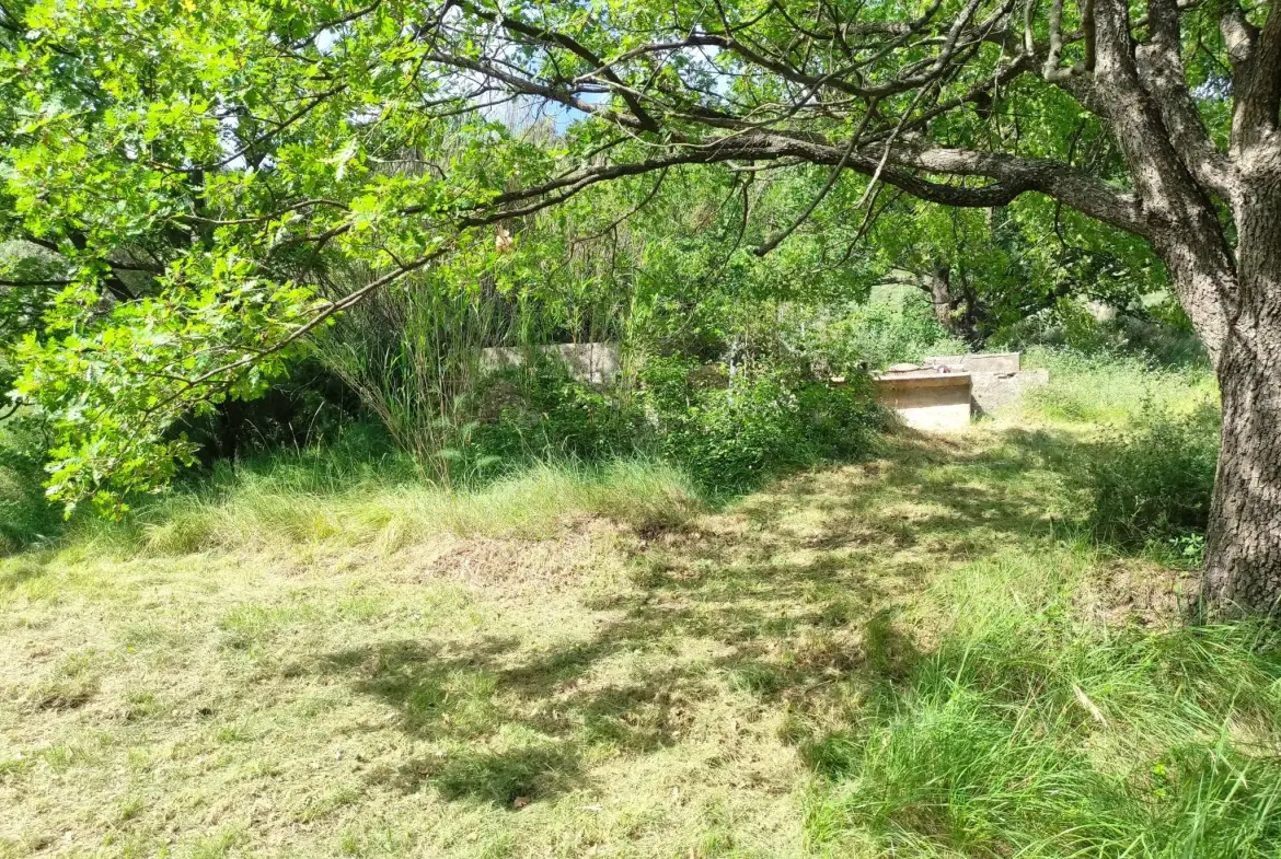 Ferme provençale authentique à Volonne de 103 m² avec dépendances et terrain de 5300 m² 