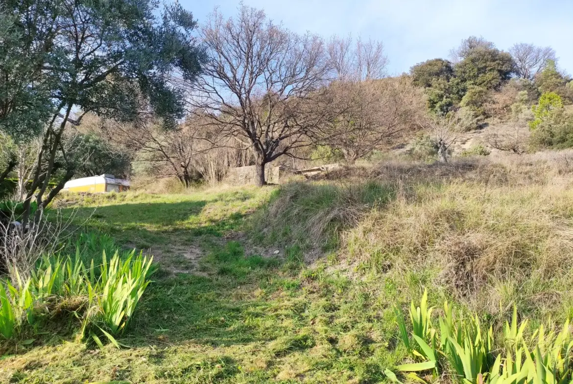 Ferme provençale authentique à Volonne de 103 m² avec dépendances et terrain de 5300 m² 