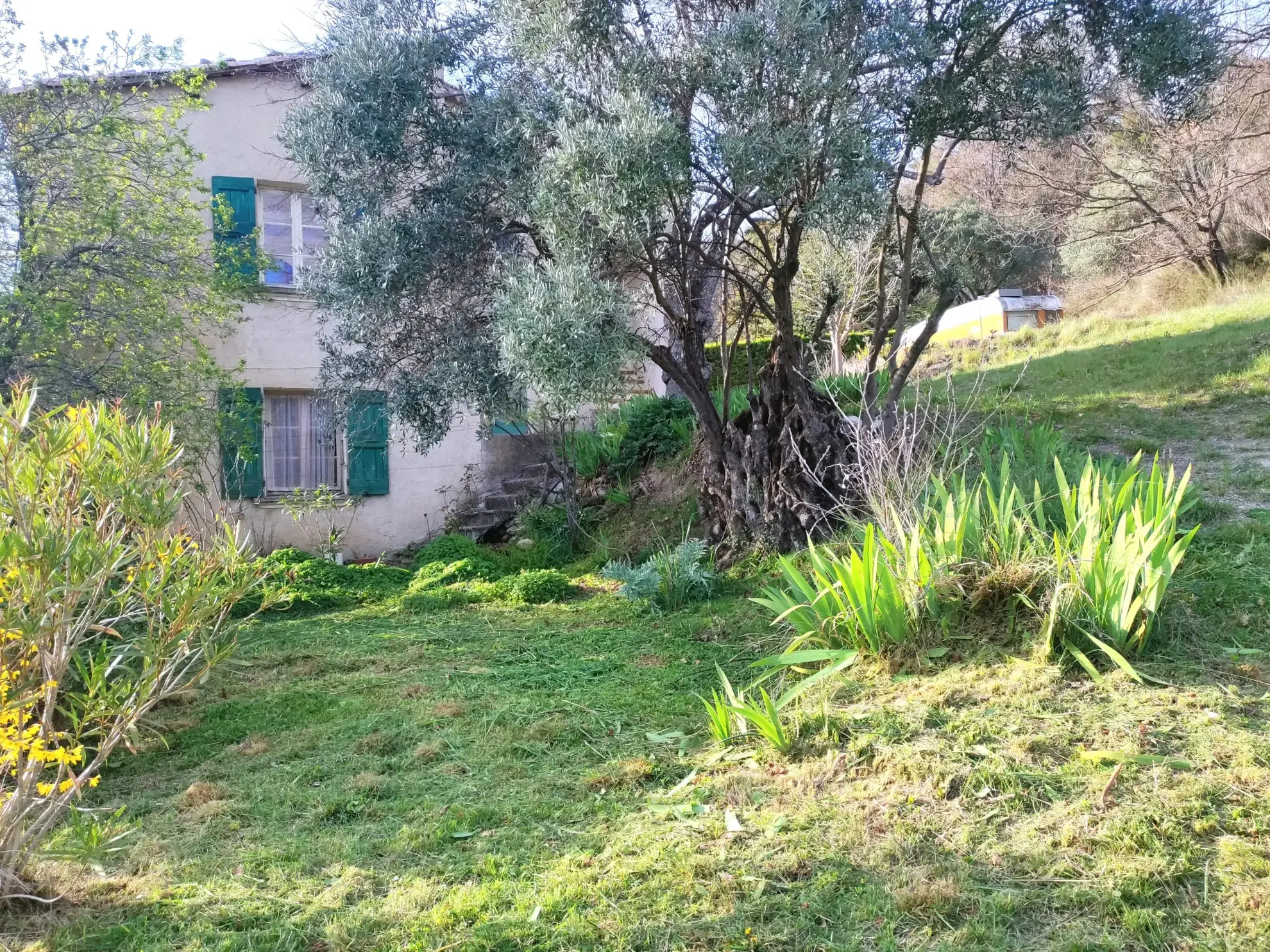 Ferme provençale authentique à Volonne de 103 m² avec dépendances et terrain de 5300 m² 