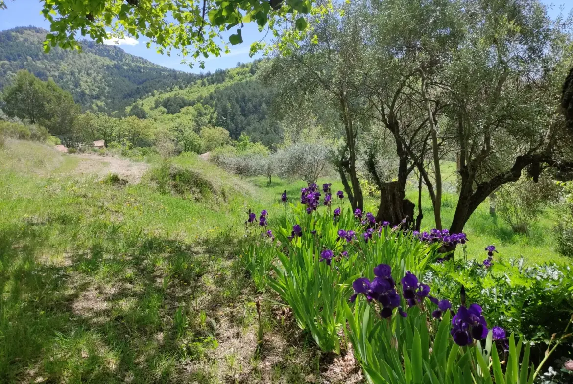 Ferme provençale authentique à Volonne de 103 m² avec dépendances et terrain de 5300 m² 