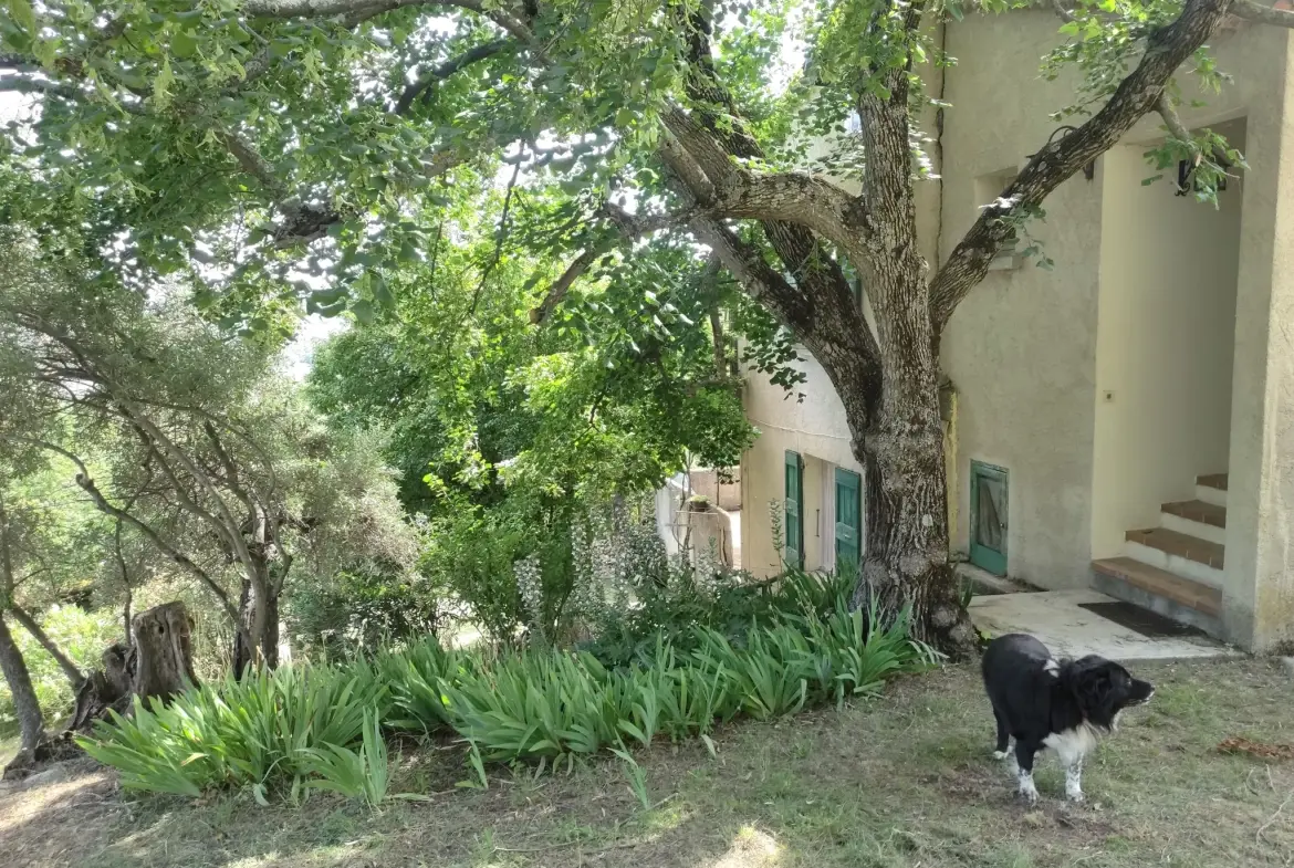 Ferme provençale authentique à Volonne de 103 m² avec dépendances et terrain de 5300 m² 