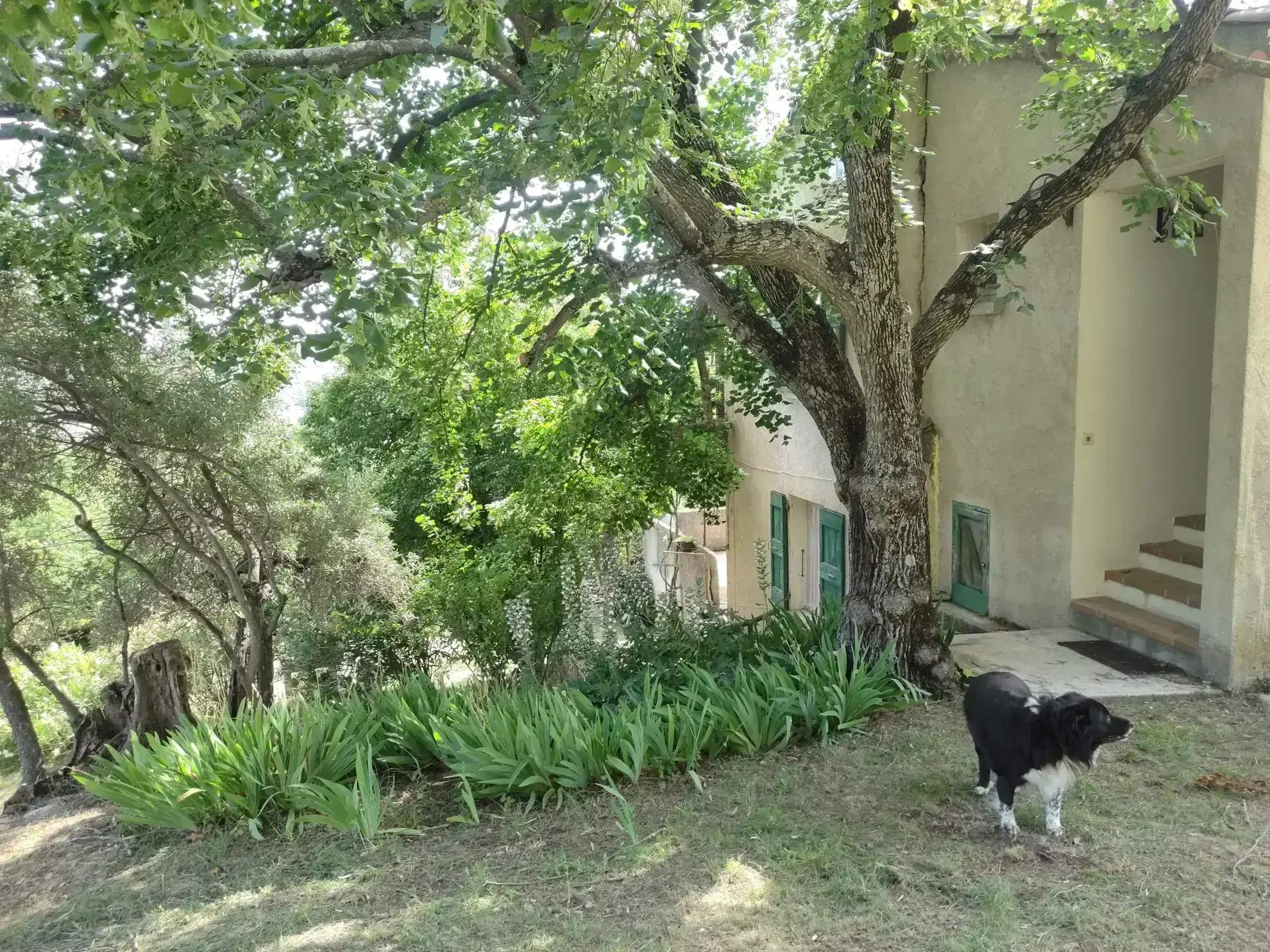 Ferme provençale authentique à Volonne de 103 m² avec dépendances et terrain de 5300 m² 