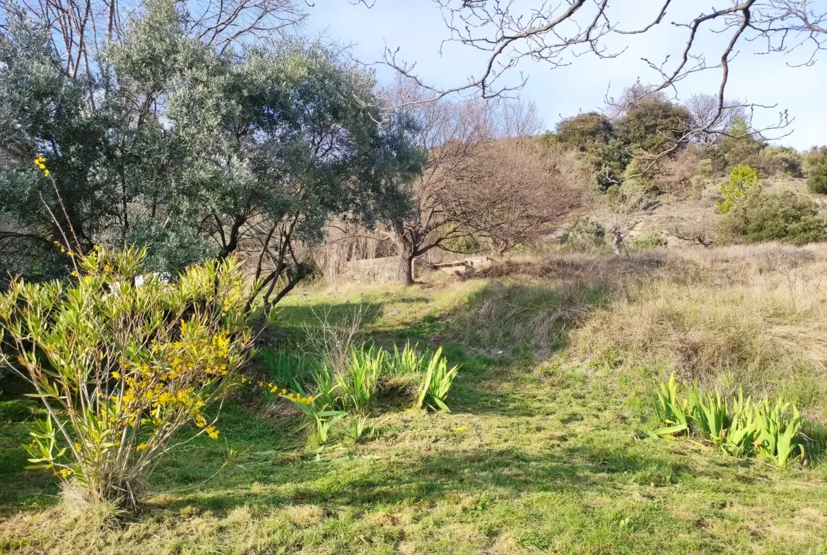 Ferme provençale authentique à Volonne de 103 m² avec dépendances et terrain de 5300 m² 