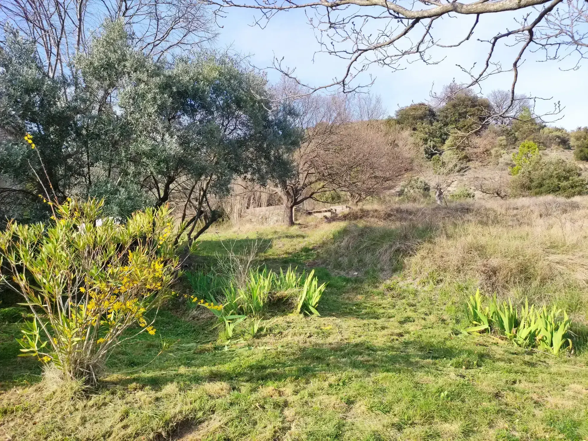 Ferme provençale authentique à Volonne de 103 m² avec dépendances et terrain de 5300 m² 