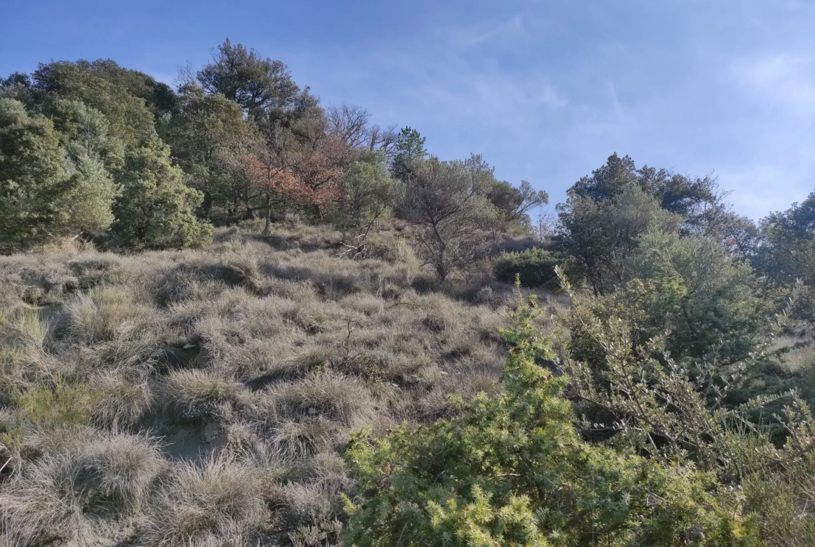 Ferme provençale authentique à Volonne de 103 m² avec dépendances et terrain de 5300 m² 