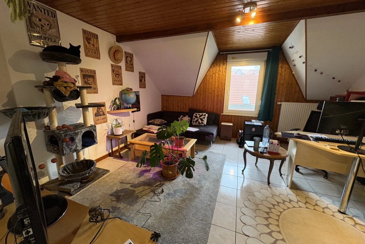 Immeuble de rapport à Pfetterhouse - Opportunité d'investissement locatif 
