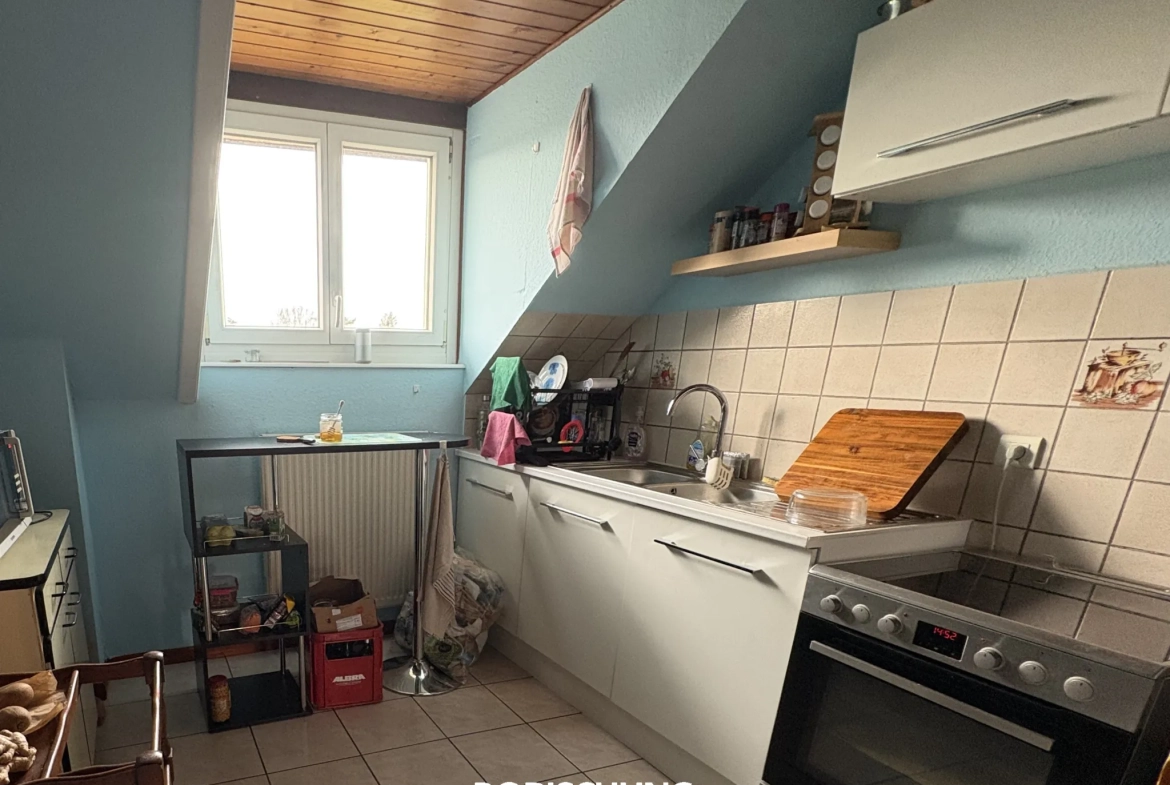 Immeuble de rapport à Pfetterhouse - Opportunité d'investissement locatif 