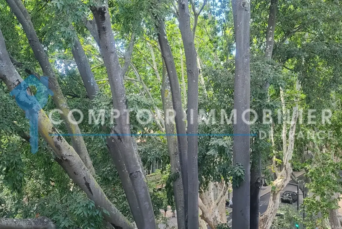 Appartement T3 lumineux avec vue sur le boulevard à Nîmes 