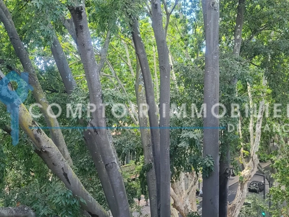 Appartement T3 lumineux avec vue sur le boulevard à Nîmes 