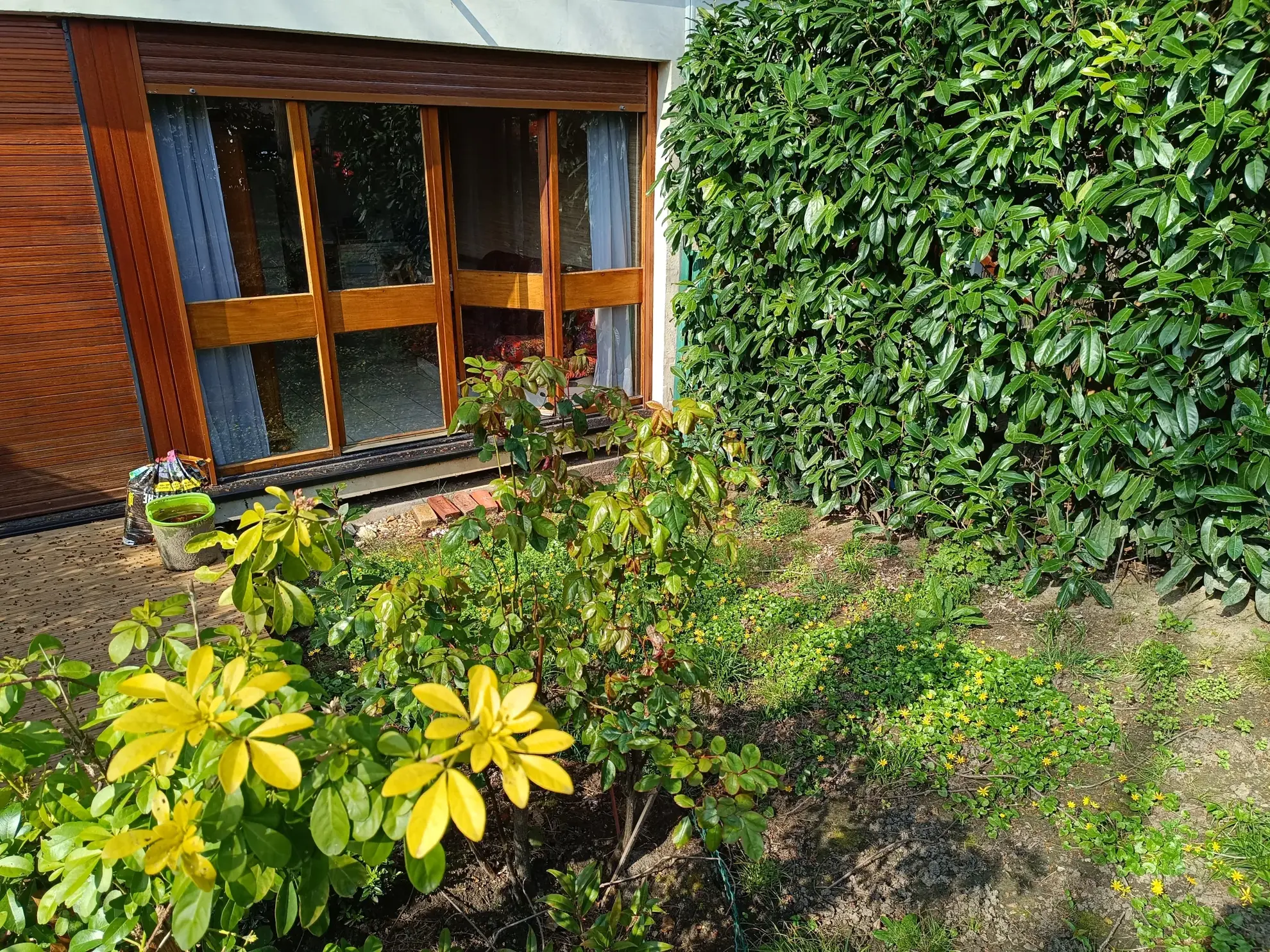 Chambre de service avec jardinet à La Celle Saint Cloud - Investissement ou pied-à-terre 