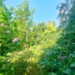 Maison lumineuse de 7 pièces avec jardin à Besançon - 255 m²