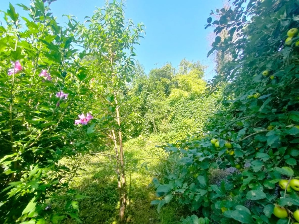 Maison lumineuse de 7 pièces avec jardin à Besançon - 255 m²