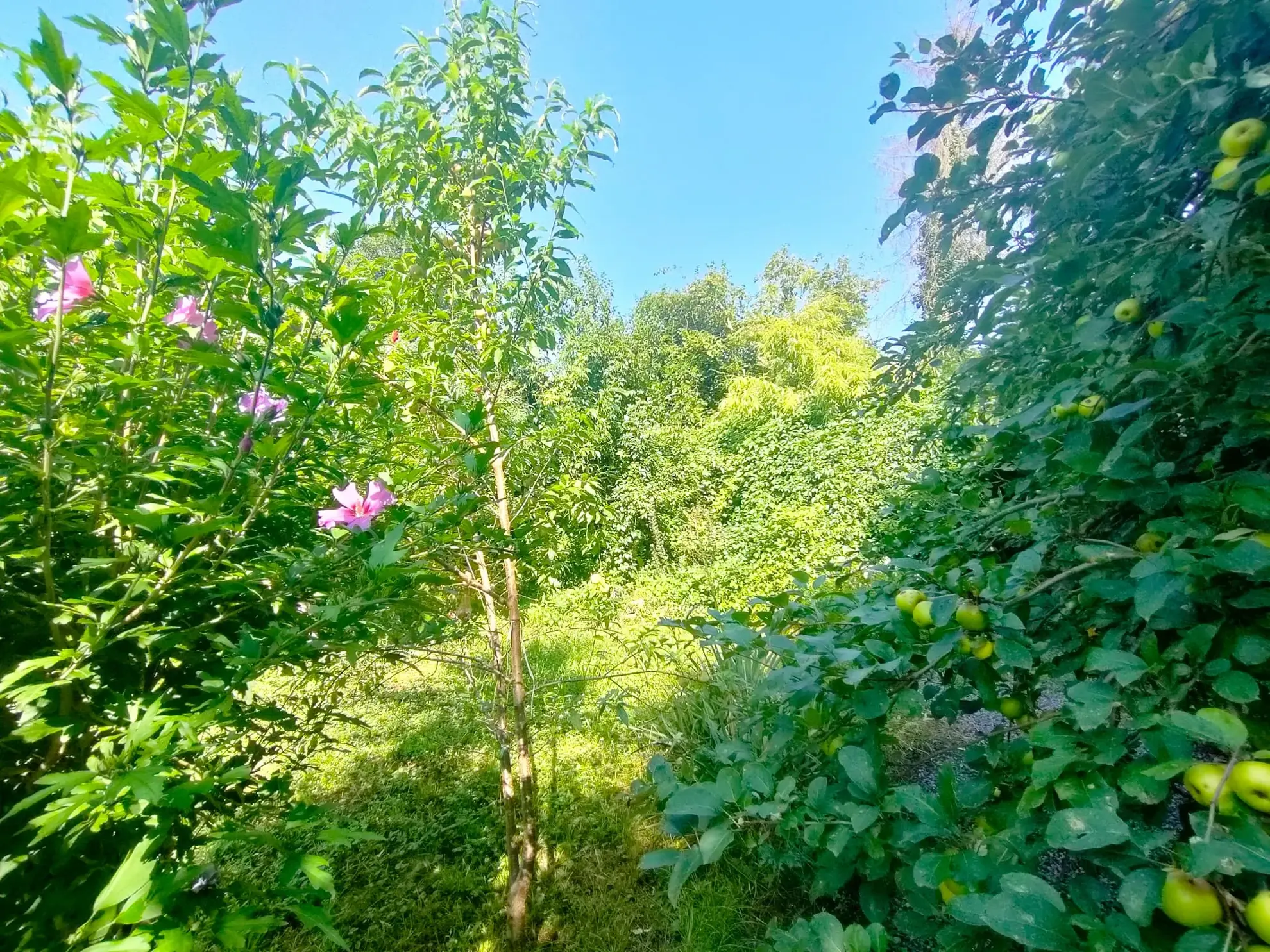Maison lumineuse de 7 pièces avec jardin à Besançon - 255 m² 