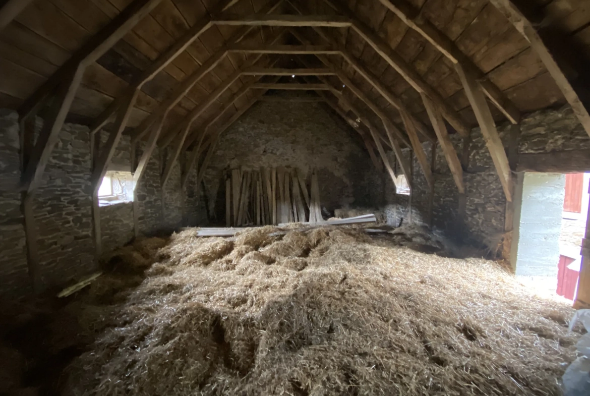 Grand ensemble immobilier en pierre avec terrain constructible à Ségur, Aveyron 