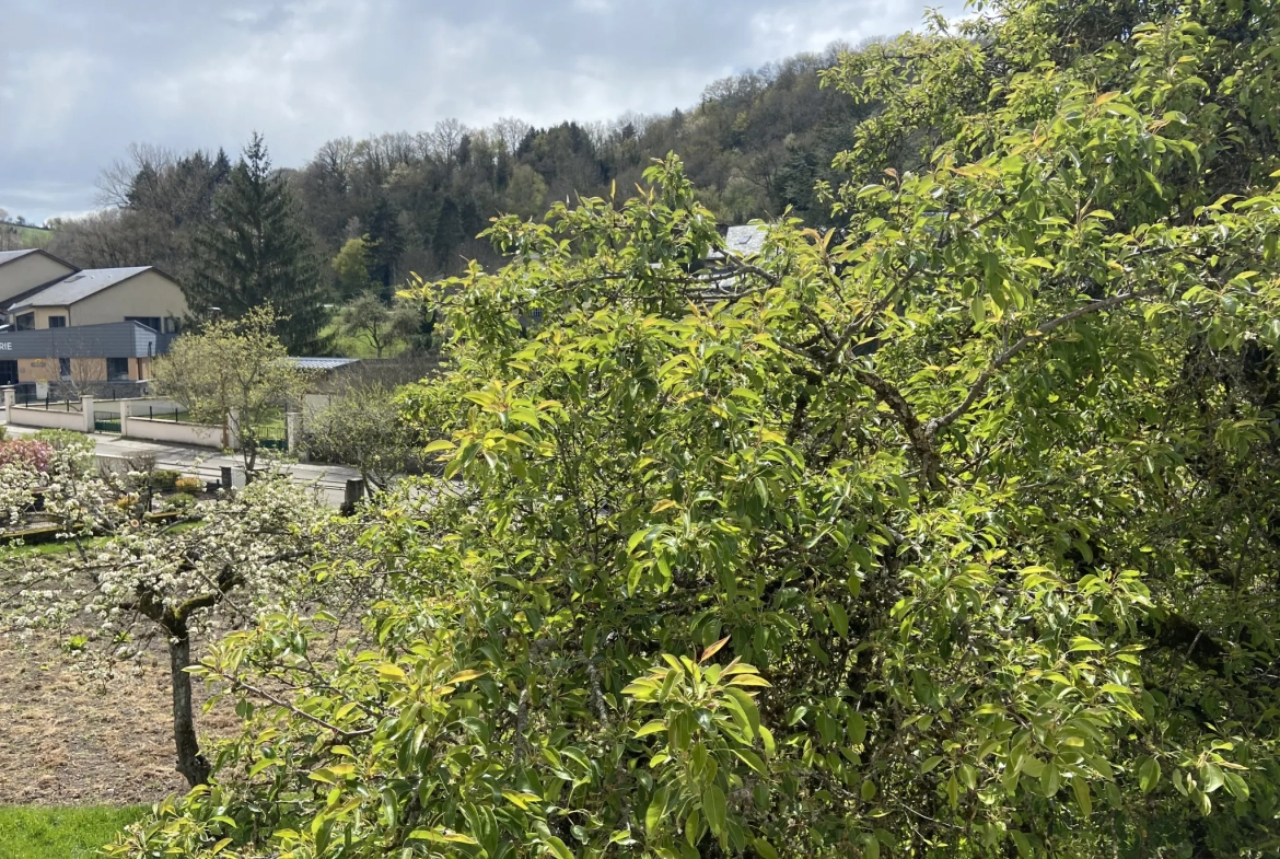Grand ensemble immobilier en pierre avec terrain constructible à Ségur, Aveyron 