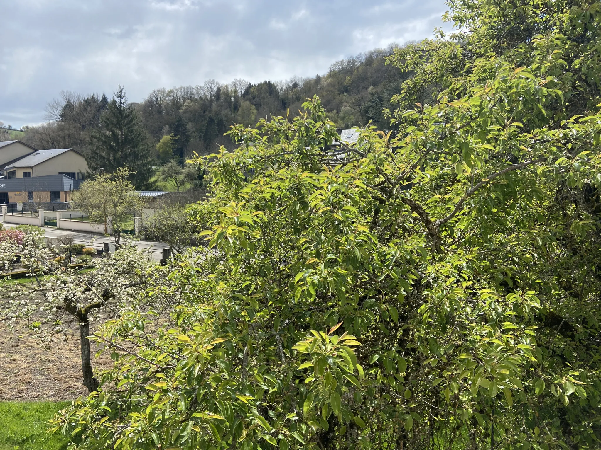 Grand ensemble immobilier en pierre avec terrain constructible à Ségur, Aveyron 
