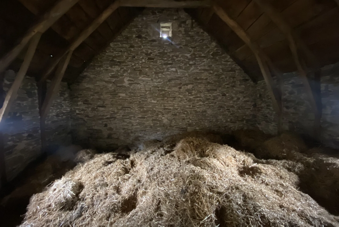 Grand ensemble immobilier en pierre avec terrain constructible à Ségur, Aveyron 