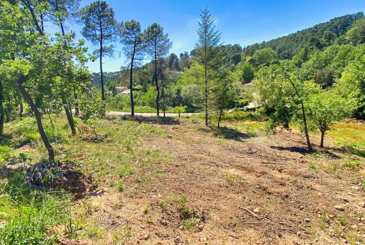 Terrain constructible de 1324 m² à Mercuer, proche d'Aubenas - Idéal pour votre projet immobilier 