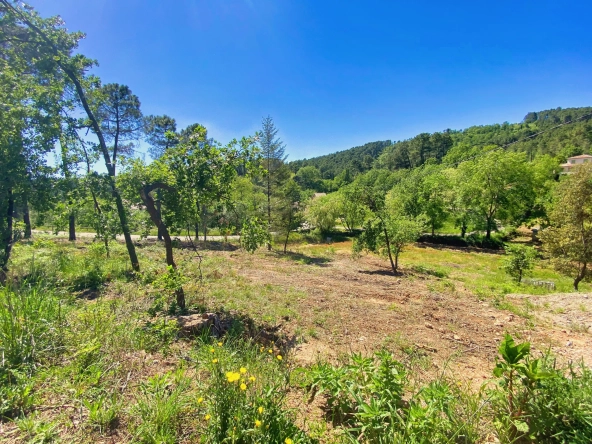 Terrain constructible de 1324 m² à Mercuer, proche d'Aubenas - Idéal pour votre projet immobilier