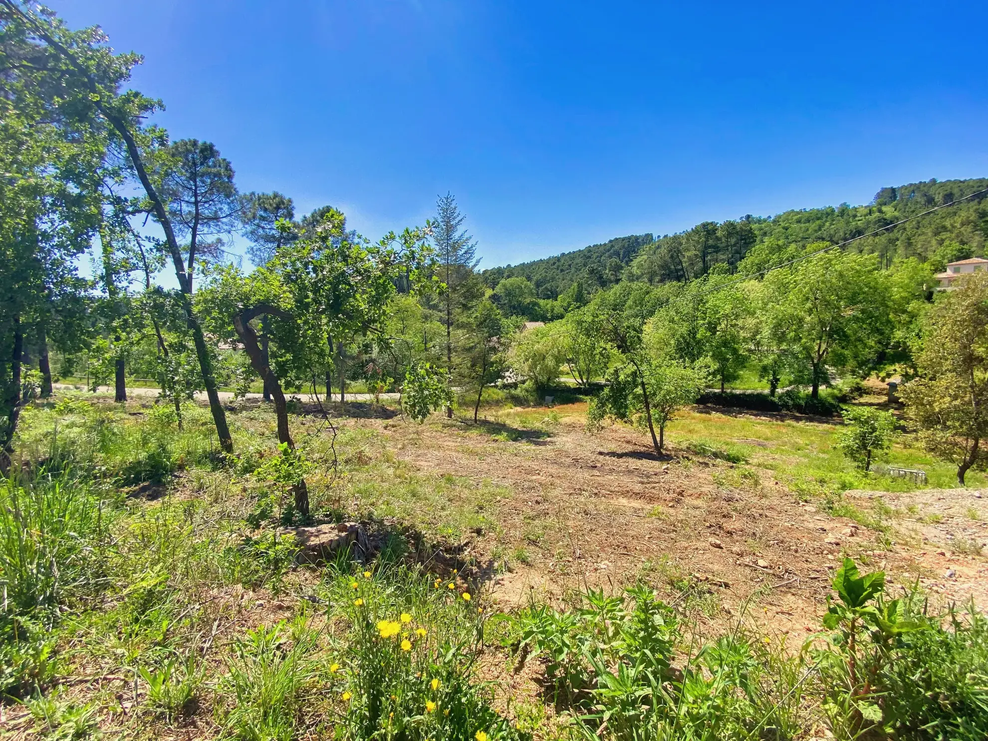 Terrain constructible de 1324 m² à Mercuer, proche d'Aubenas - Idéal pour votre projet immobilier 