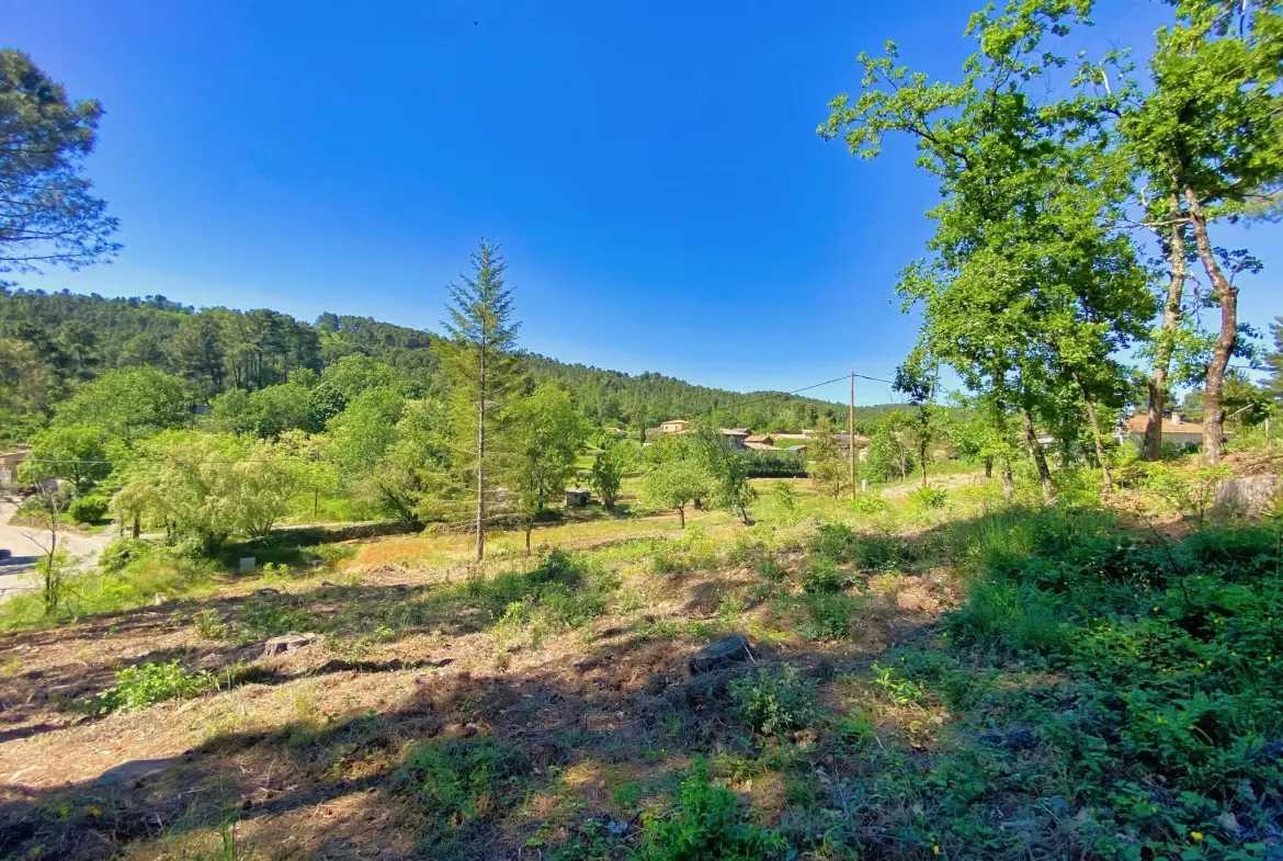 Terrain constructible de 1324 m² à Mercuer, proche d'Aubenas - Idéal pour votre projet immobilier 