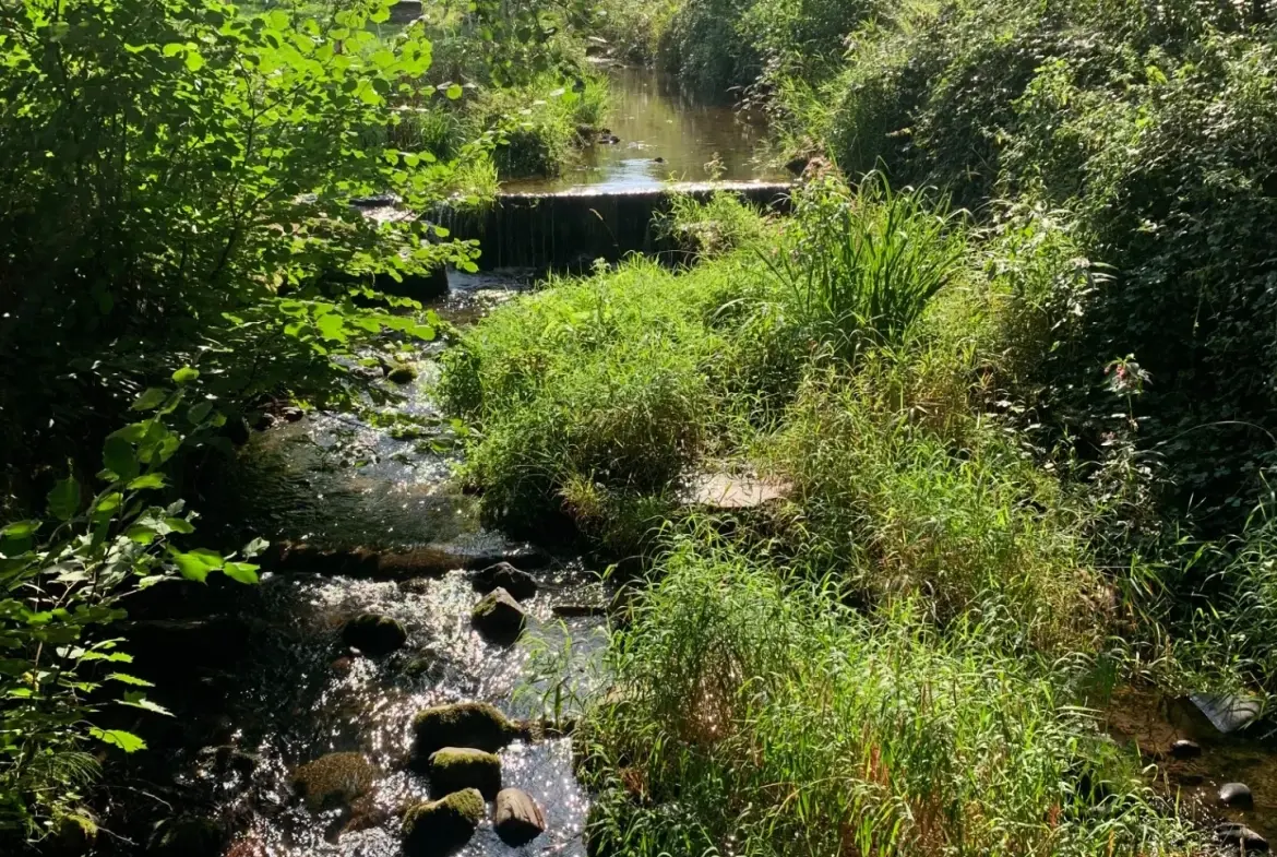 Ensemble immobilier à Moosch avec étang, forêt et terrain constructible en vente 