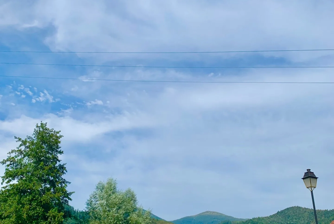 Ensemble immobilier à Moosch avec étang, forêt et terrain constructible en vente 