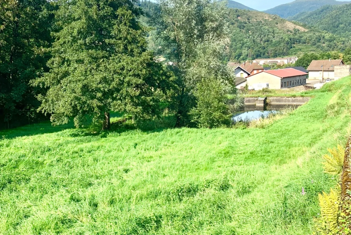 Ensemble immobilier à Moosch avec étang, forêt et terrain constructible en vente 