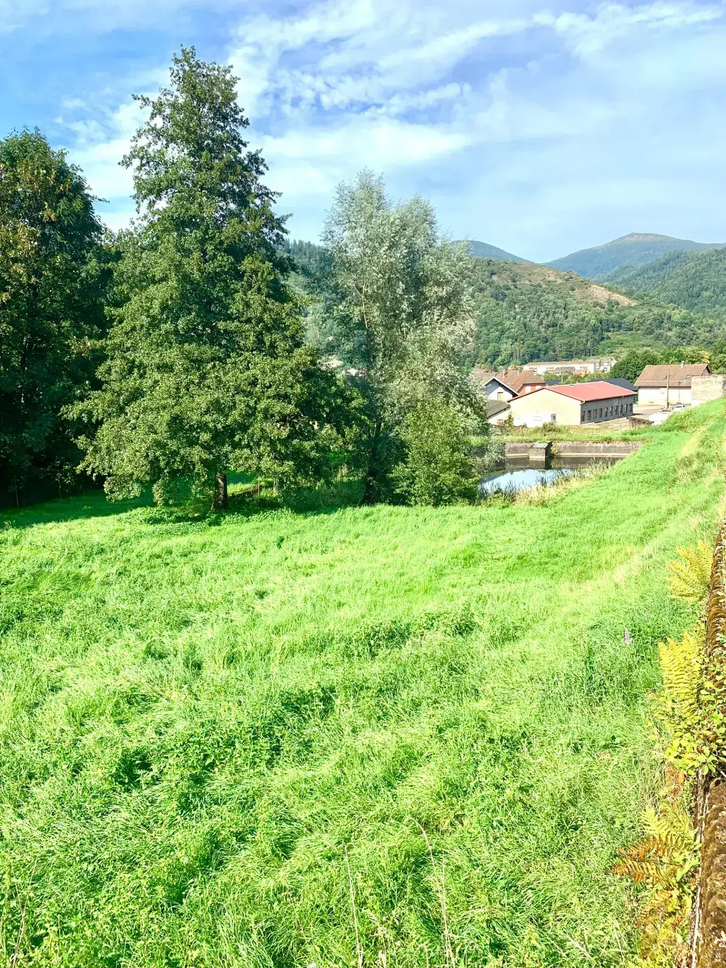Ensemble immobilier à Moosch avec étang, forêt et terrain constructible en vente 
