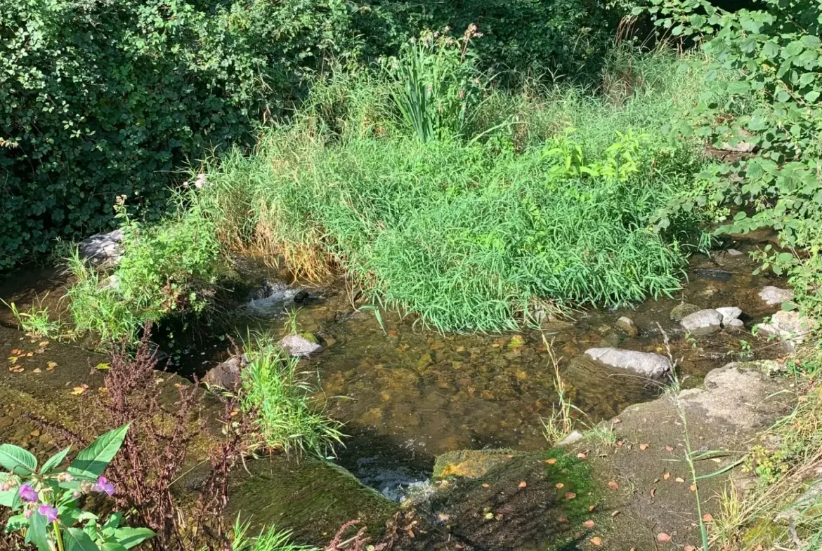 Ensemble immobilier à Moosch avec étang, forêt et terrain constructible en vente 