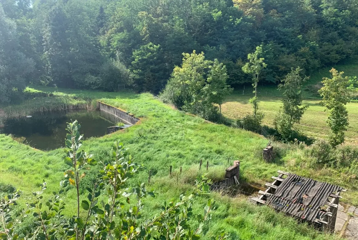 Ensemble immobilier à Moosch avec étang, forêt et terrain constructible en vente 