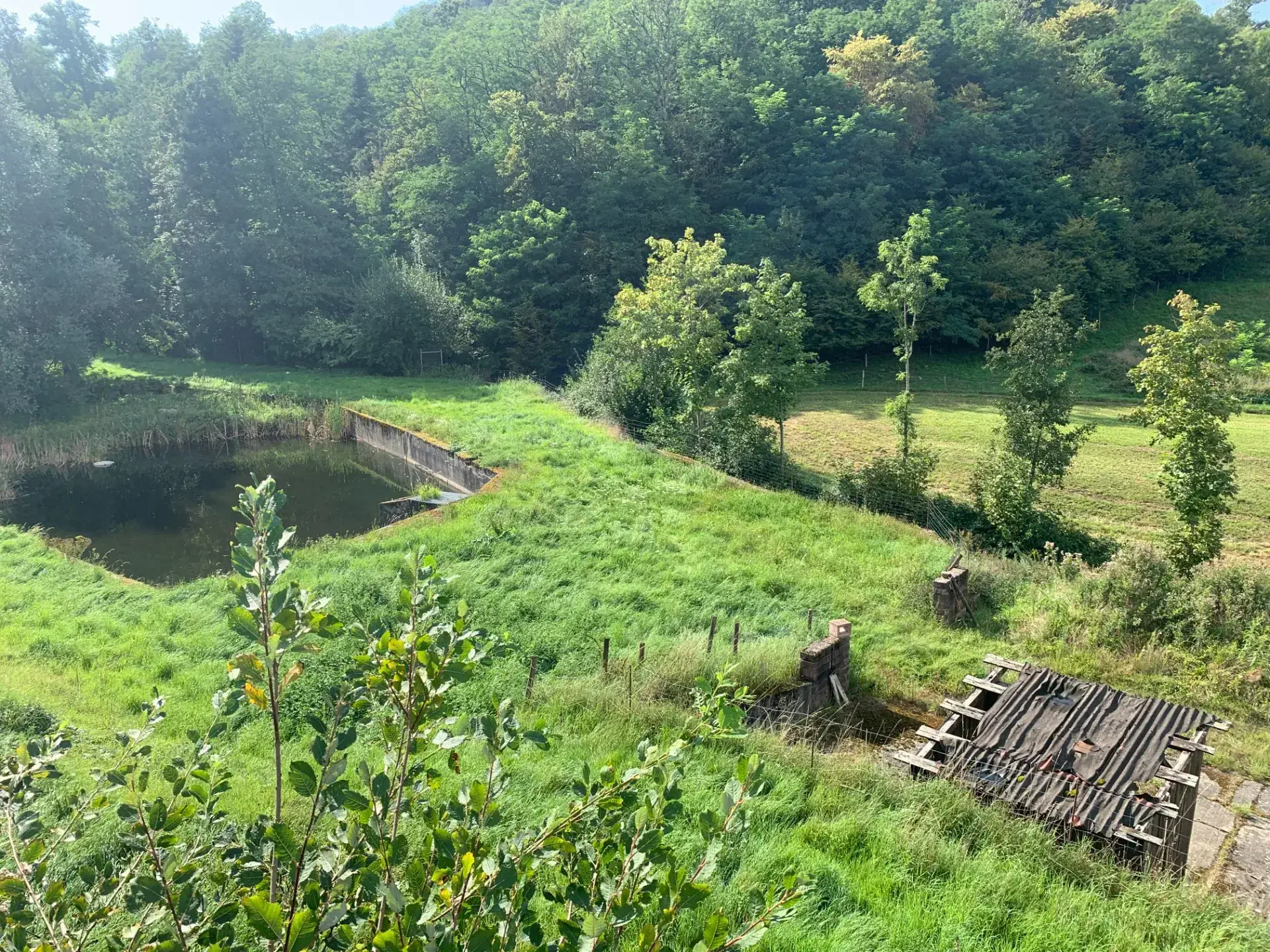 Ensemble immobilier à Moosch avec étang, forêt et terrain constructible en vente 