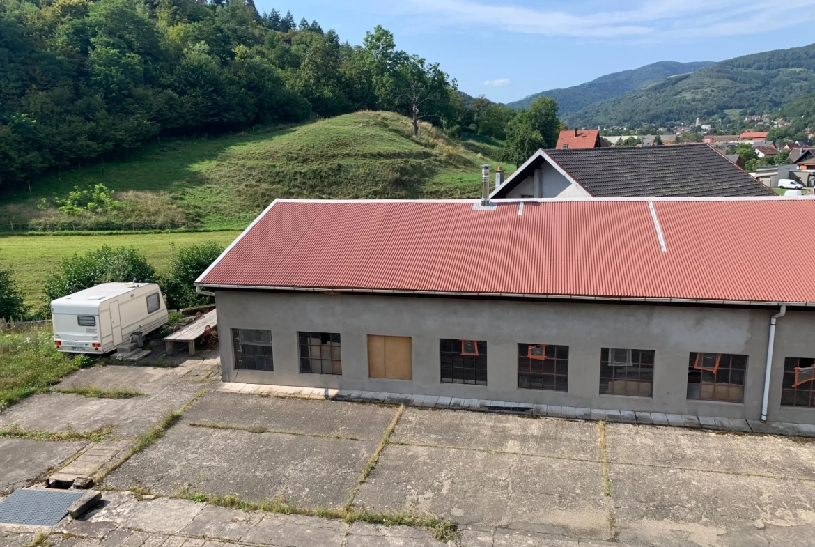 Ensemble immobilier à Moosch avec étang, forêt et terrain constructible en vente 