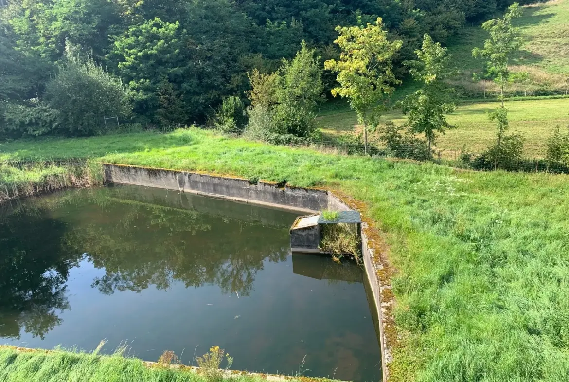 Ensemble immobilier à Moosch avec étang, forêt et terrain constructible en vente 