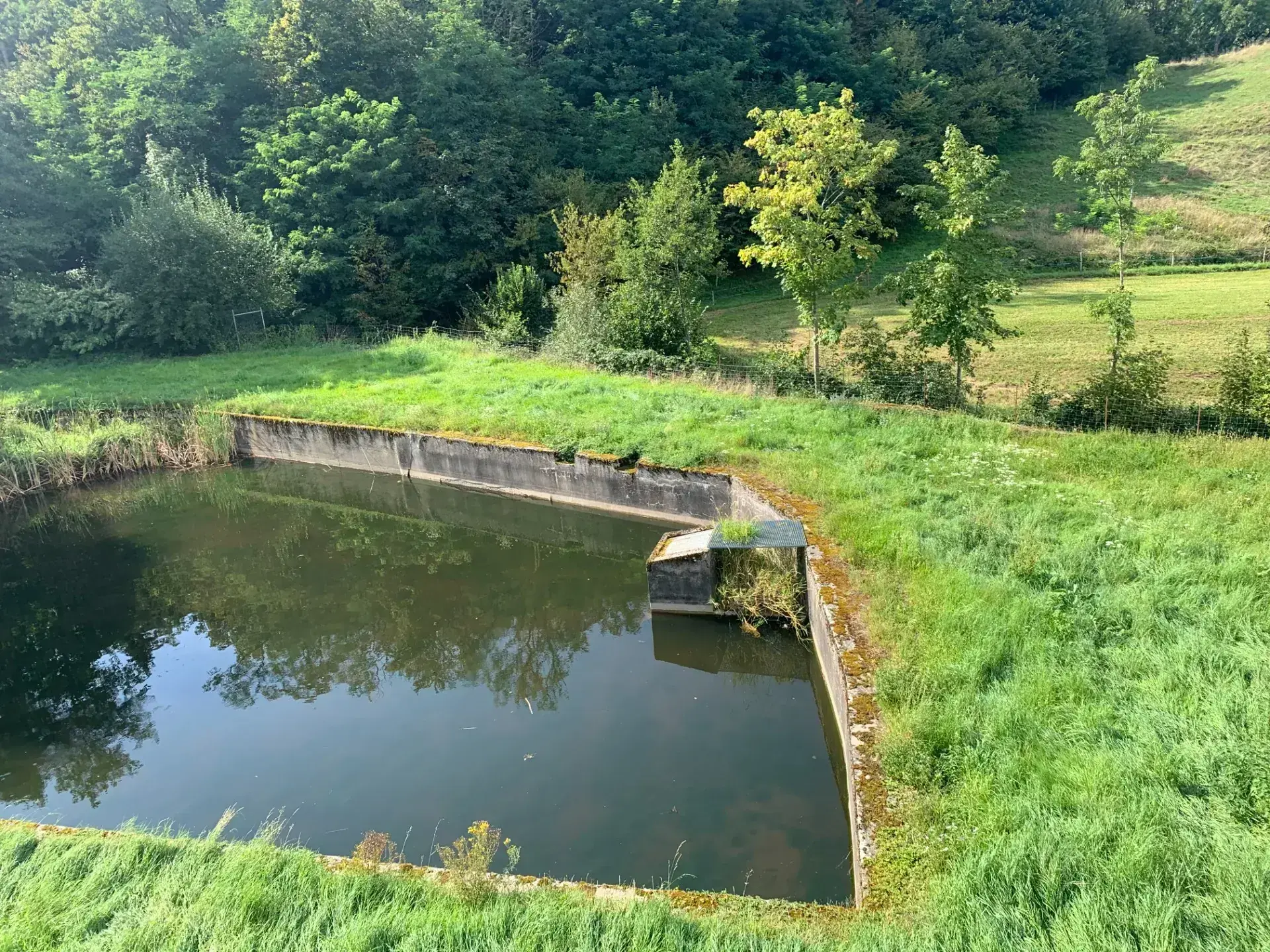 Ensemble immobilier à Moosch avec étang, forêt et terrain constructible en vente 