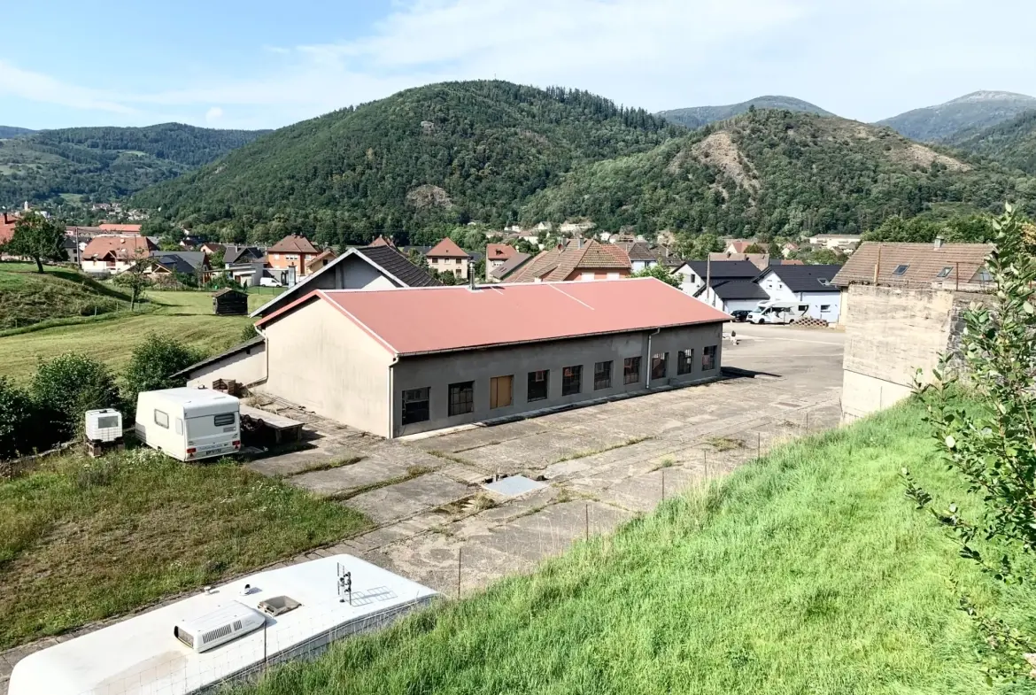Ensemble immobilier à Moosch avec étang, forêt et terrain constructible en vente 