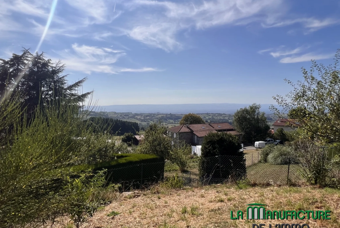 Villa 4 chambres avec piscine, garage, et chalet en bois à Fontanes, Loire 