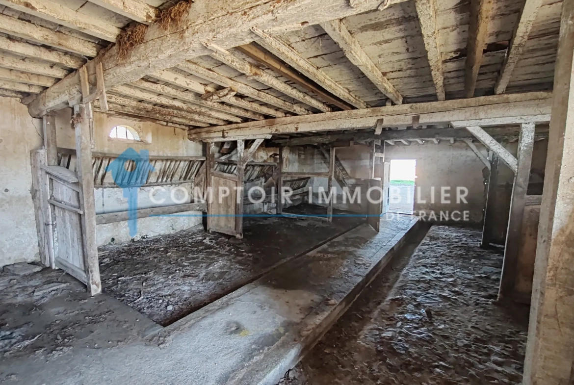 Ferme à rénover avec vue sur les Pyrénées à Blan – Terrain de 5000 m² 