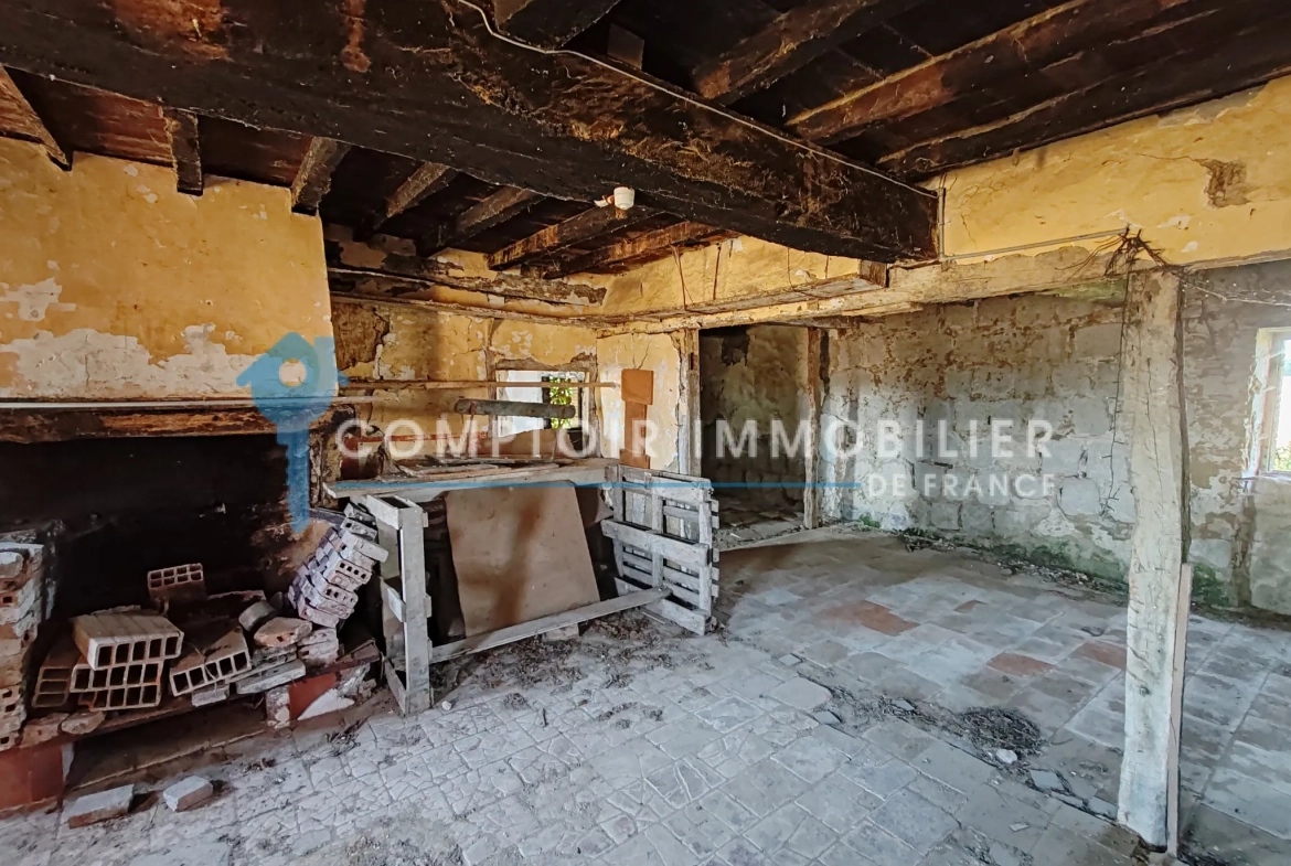 Ferme à rénover avec vue sur les Pyrénées à Blan – Terrain de 5000 m² 