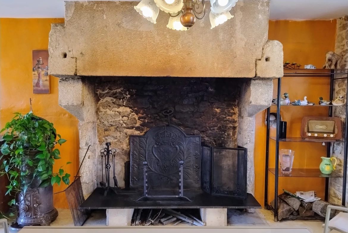 Très belle maison en pierre avec piscine et dépendances à Auriolles 