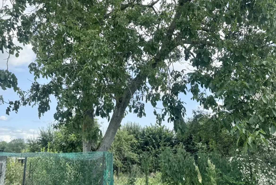 À vendre deux maisons avec terrain constructible à Guebwiller, secteur Mulhouse-Colmar 