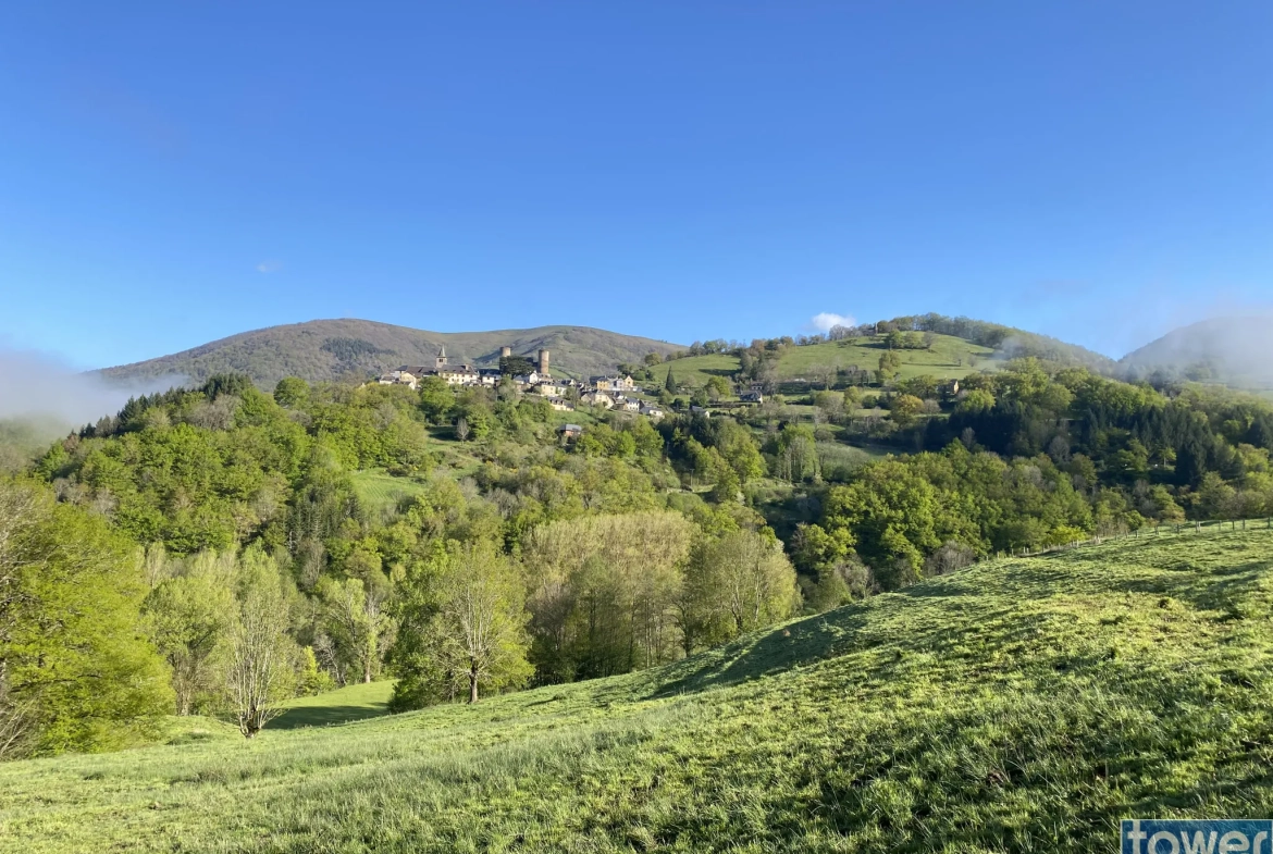 Maison contemporaine ossature bois avec vue dans les gorges du Lot à Pomayrols 