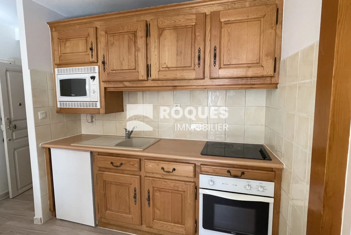 Charmant appartement de type 2 rénové au centre de Millau 