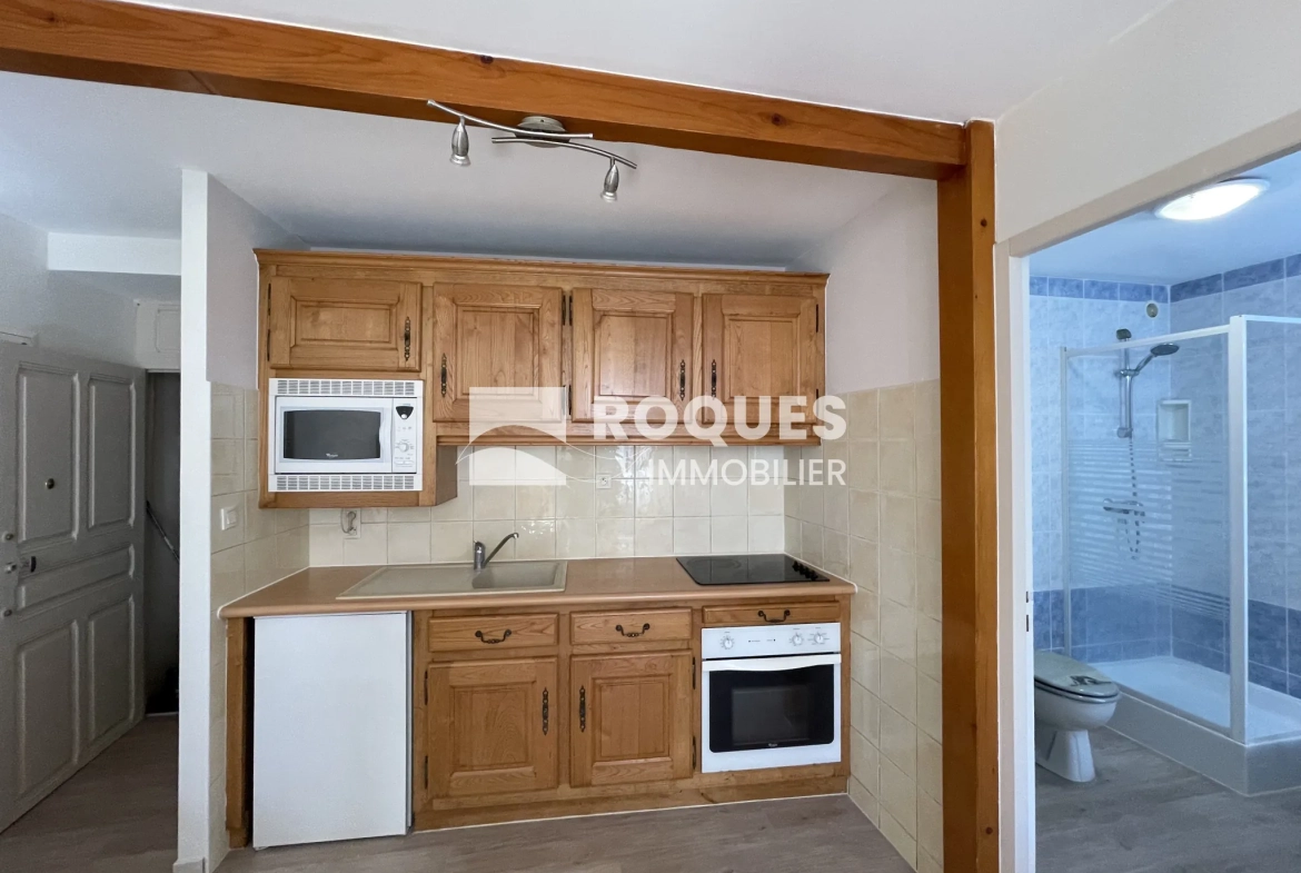 Charmant appartement de type 2 rénové au centre de Millau 