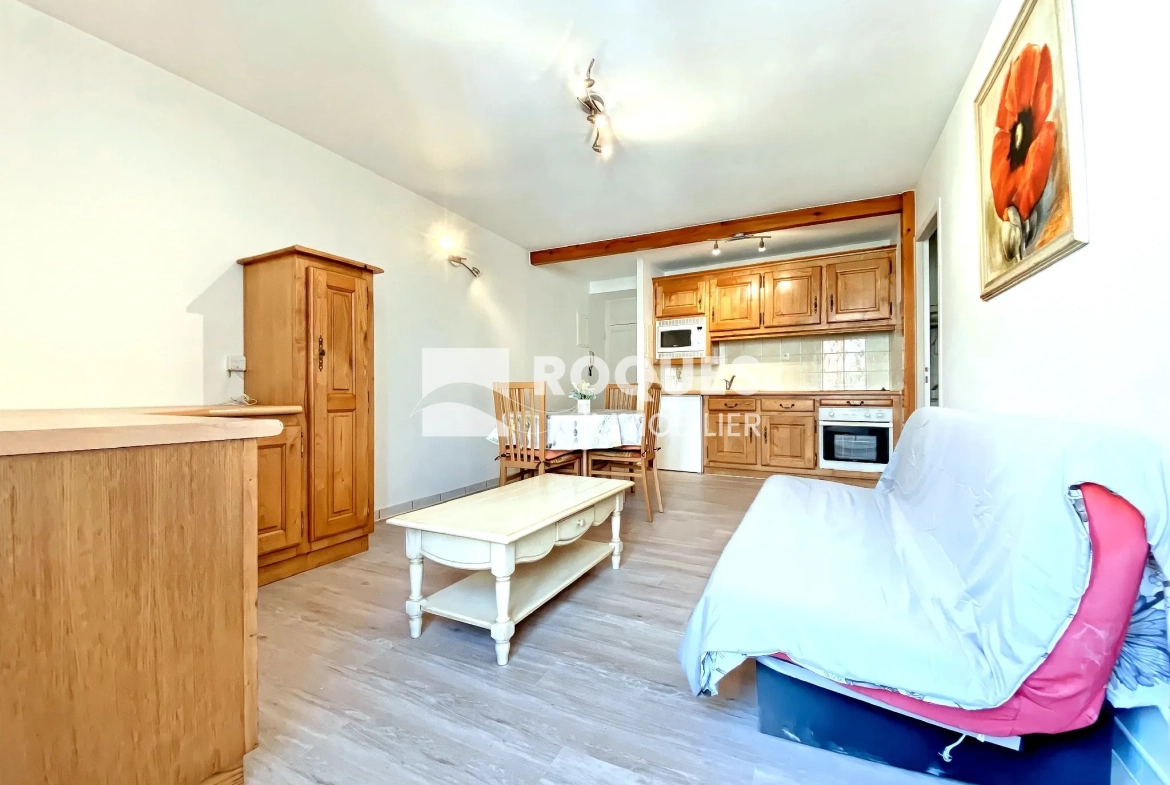 Charmant appartement de type 2 rénové au centre de Millau 