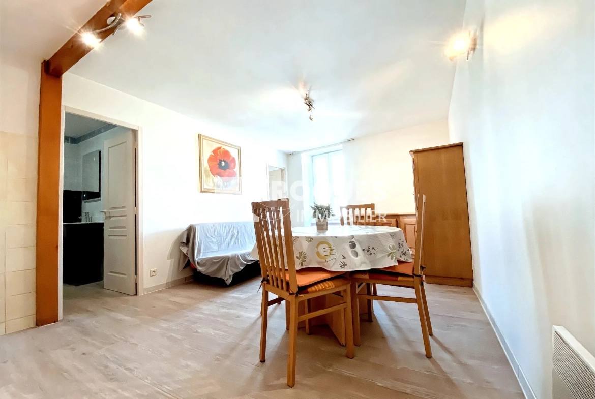 Charmant appartement de type 2 rénové au centre de Millau 